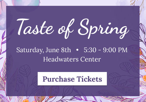 Purchase Tickets for Taste of Spring on June 8, 2024